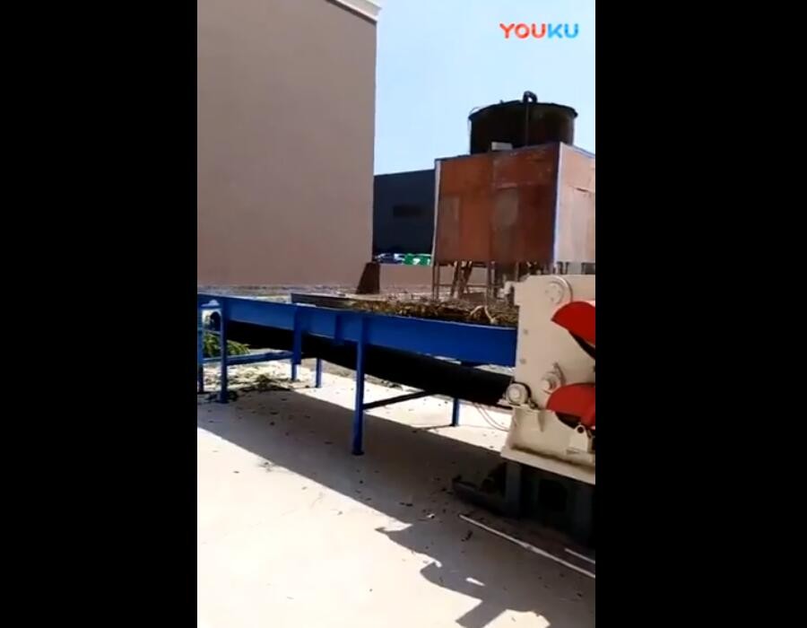 鼓式削片機工作現場